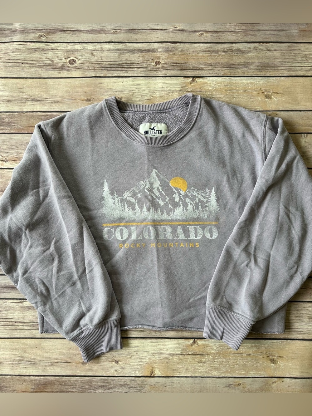 Hollister Colorado Cropped Sweatshirt